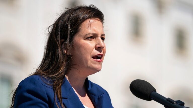 Iran's cyber strike on Trump campaign: Stefanik slams FBI for 'election interference' to aid Dems