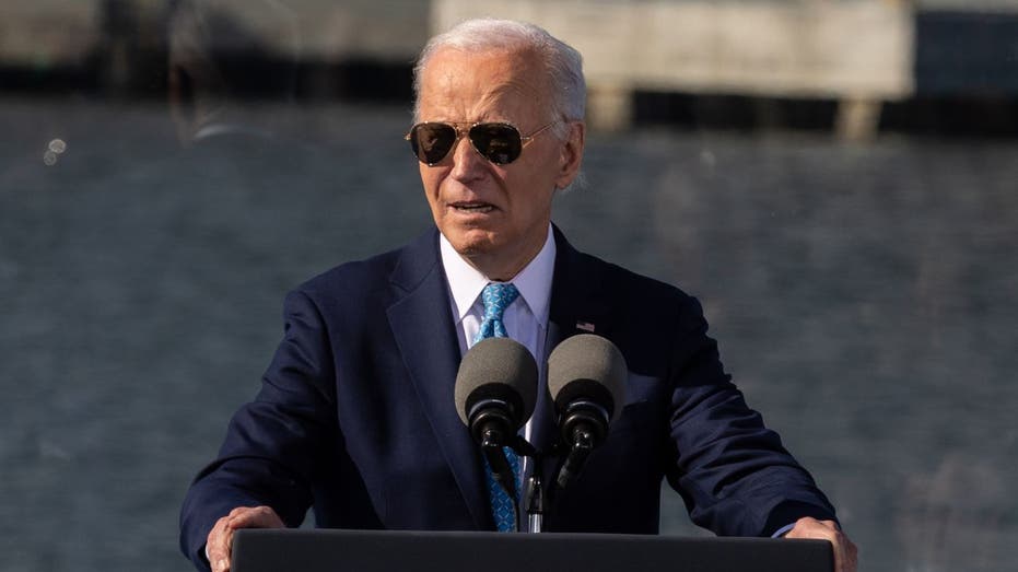 Biden's 'garbage' remark being used by down-ballot GOP candidates in closing voter pitch