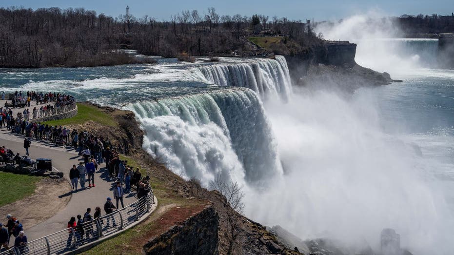 Woman jumps into Niagara Falls with 2 young sons in 'intentional act': police