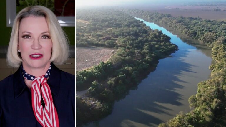 'Shut it down': Red state makes massive land buy to ramp up border wall efforts amid migrant surge