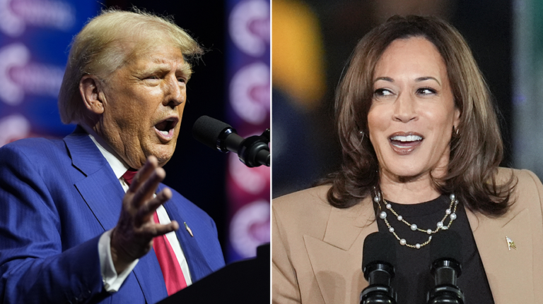 Trump merchandise outsells pro-Harris by striking margin, as Election Day draws near