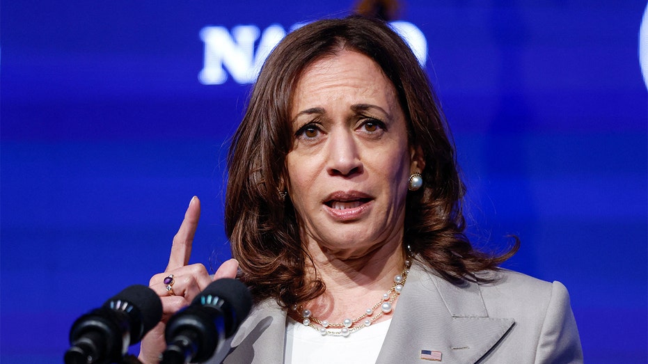 Harris campaign chair fumes about narrative she was afraid to do interviews: 'Completely bulls---'