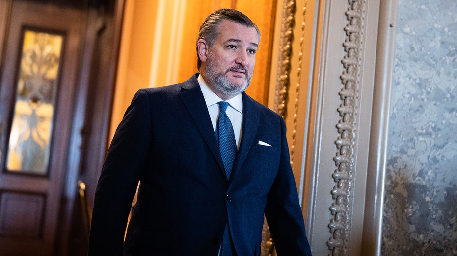 Ted Cruz knocks McConnell-aligned super PAC for 'zero support' in competitive race