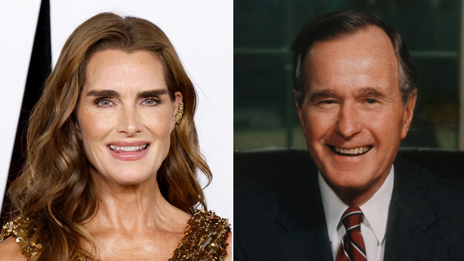 Brooke Shields consulted former President George HW Bush for dating advice