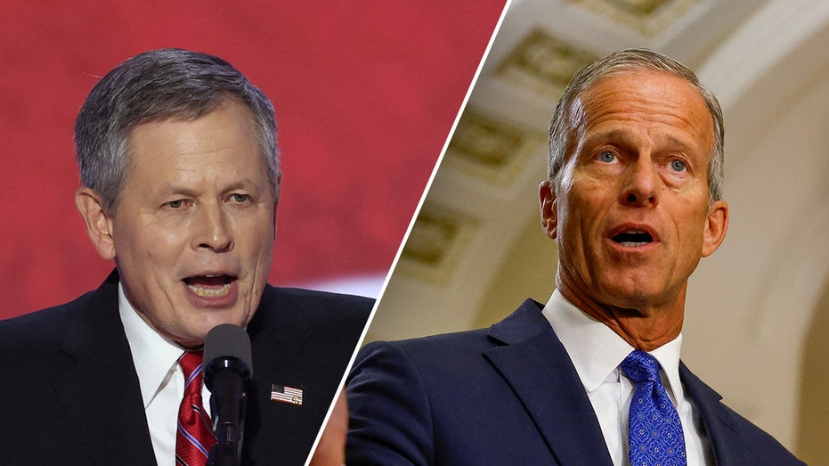 Top Republican privately backing Thune to succeed McConnell in GOP leader race