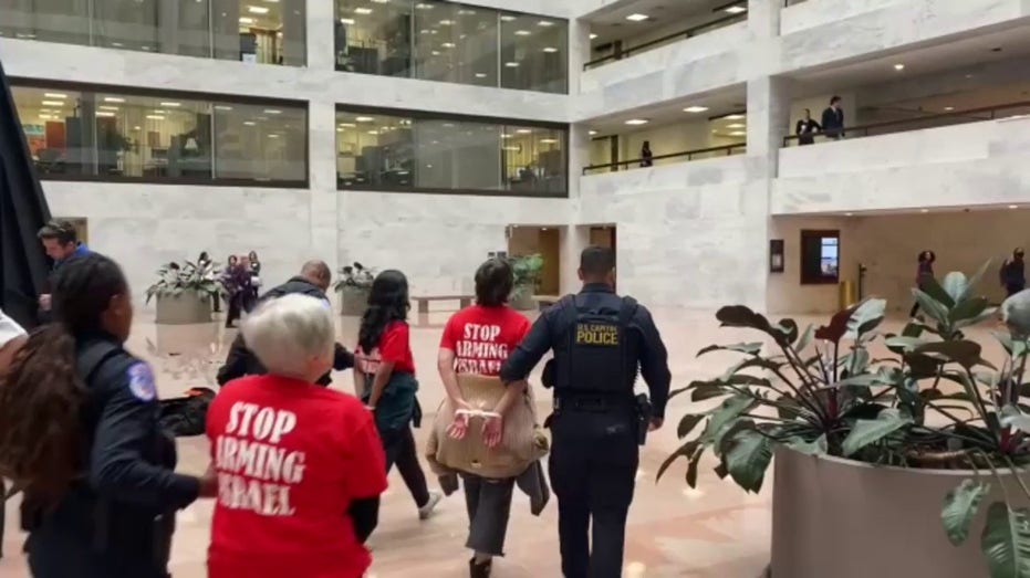 Anti-Israel protesters arrested in Senate office building