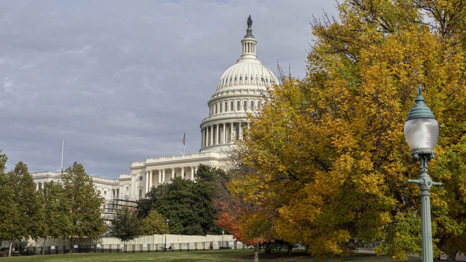 Police arrest man at US Capitol smelling of fuel who had manifesto, flare gun and blow torch