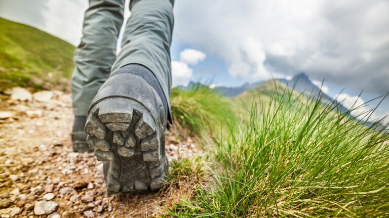 Hiker accidentally uncovers 280-million-year-old footprints in Italy