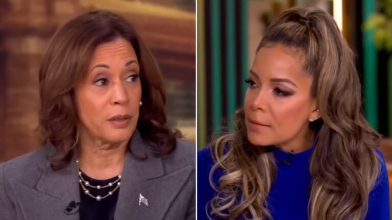 Kamala Harris' bungled answer on 'The View' about Biden seen as turning point in campaign