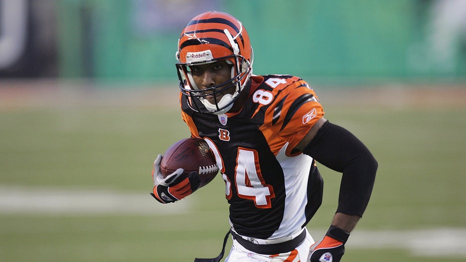 Bengals legend pours cold water on team's hot streak: 'Let’s do this against the good teams'