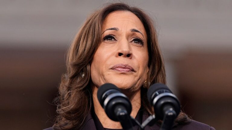 Here are the top 5 Democrats who could lead the party after Kamala’s fall