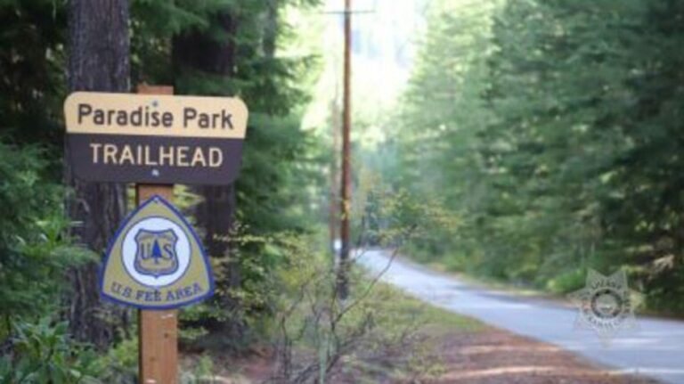 Experienced Oregon hiker found dead in Mount Hood National Forest following extensive search