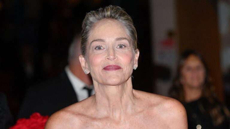 Sharon Stone chastises 'ignorant, arrogant' Americans in rant against fascism