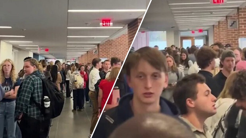 College students at Liberty University in Virginia make 'huge line' to vote in presidential election: video