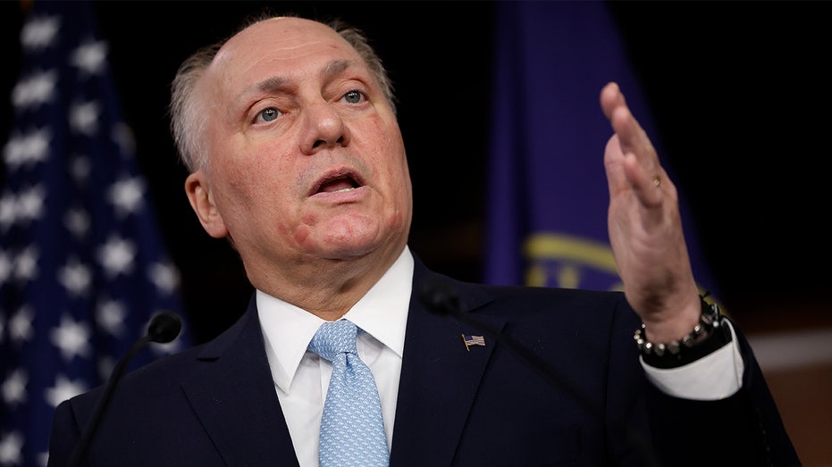 'Down to the wire': Steve Scalise predicts House control may be decided today