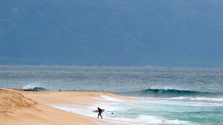 Shark ‘completely severs’ leg of Hawaii surfer off Maui beach, authorities say