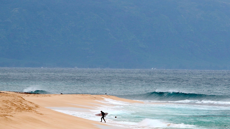 Shark ‘completely severs’ leg of Hawaii surfer off Maui beach, authorities say