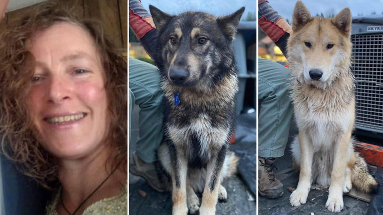 Search for missing Oregon hiker and her dogs suspended over 'weather conditions, likelihood of survivability'