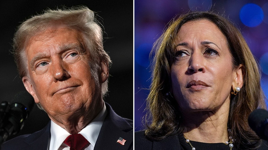 Harris never led Trump, internal polls showed — but DNC officials were kept in the dark