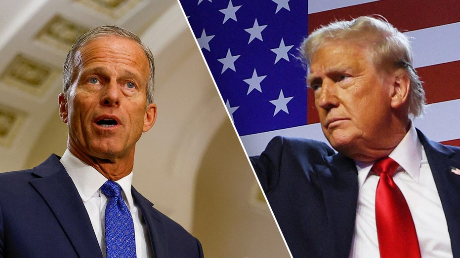 Senate leader contender John Thune responds to new Trump litmus test ahead of election