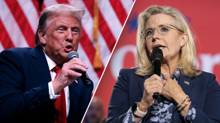 Even liberals, Trump critics blast media's coverage of his Liz Cheney comments: 'A bald-faced lie'