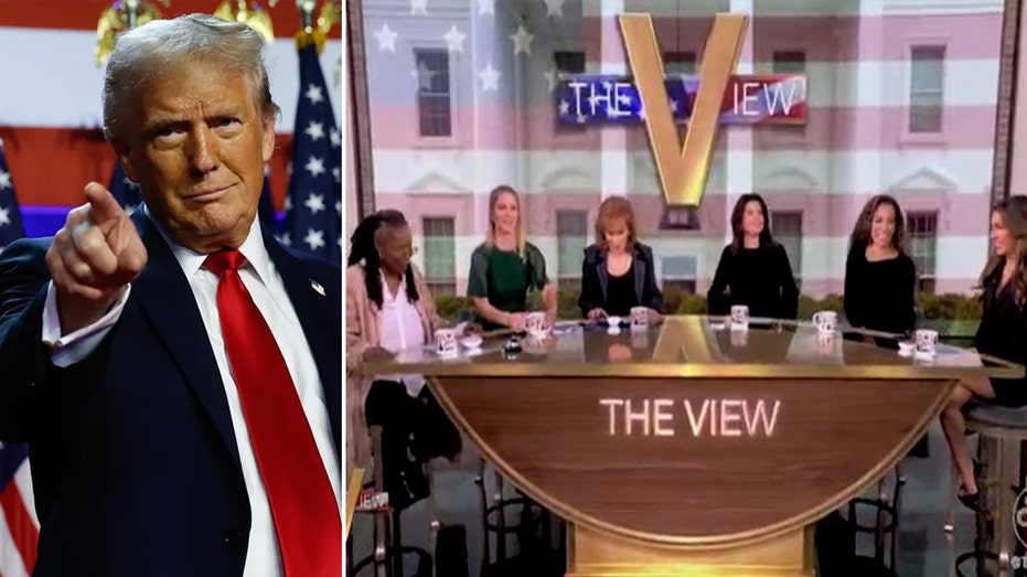 'The View' melts down over Trump's resounding election victory: 'Profoundly disturbed'