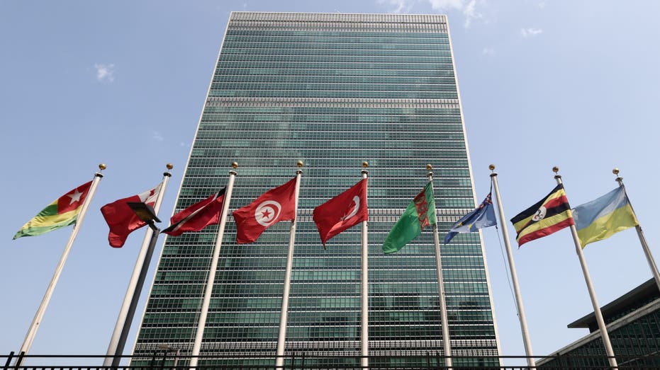 Former high-level United Nations officials to launch 'DOGE-UN' to highlight agency inefficiencies