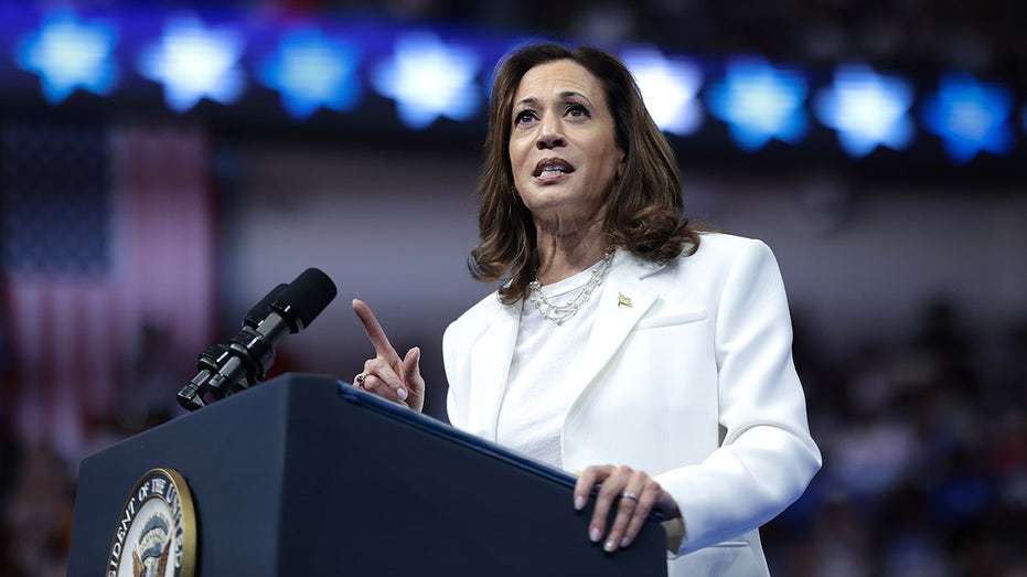 Kamala Harris aide admits Democrats 'losing hold of culture' as influencer media shifts right