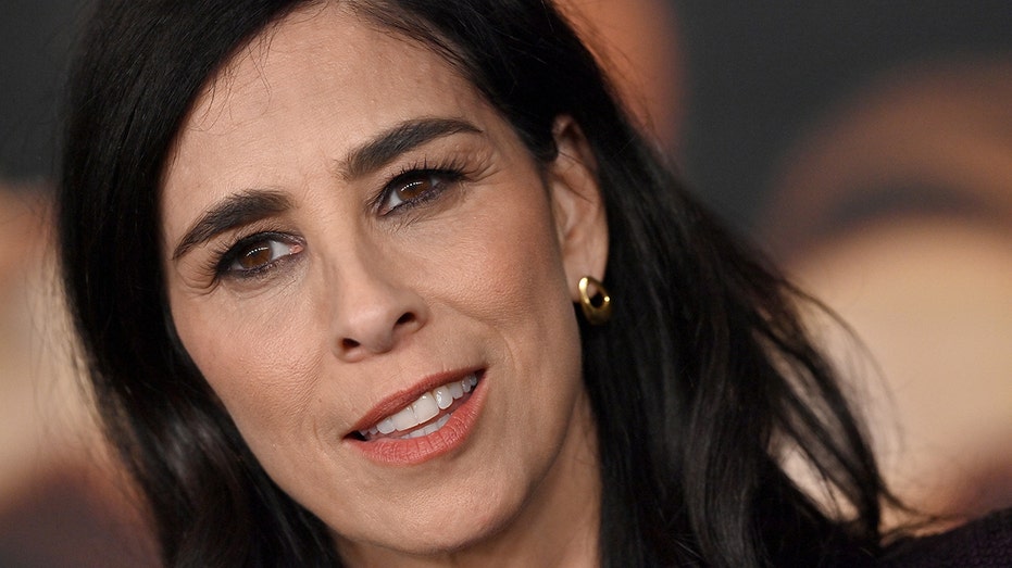 Sarah Silverman says she's become less political because 'no one' wants to hear from celebrities anymore