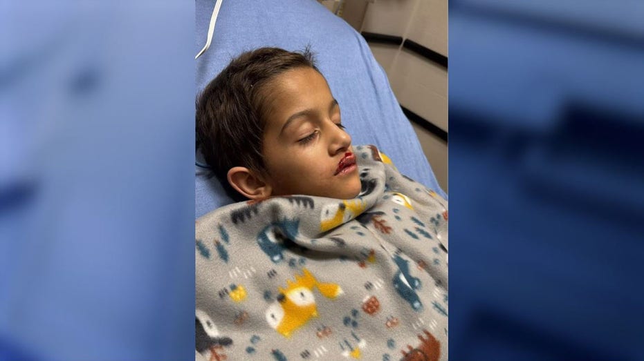 FAA places restrictions on drone company after Florida boy injured at holiday airshow, underwent heart surgery