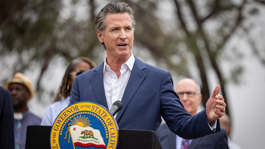 Democrats deserve to lose in 2028 if 'pretty boy' Gavin Newsom is the nominee, says former party operative