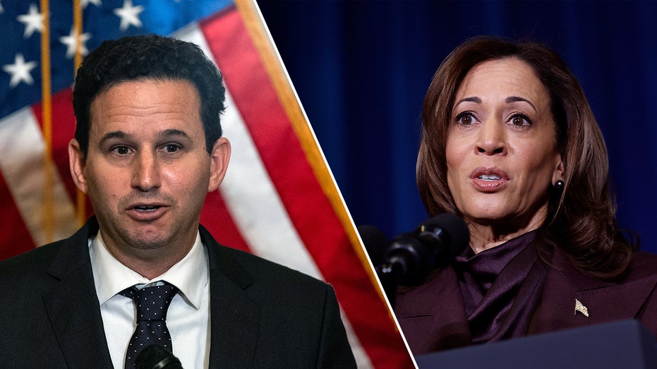 Democratic lawmaker hits Kamala Harris, Dems for using 'weird,' unfamiliar language after election loss