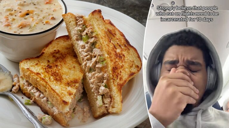 Tuna melt 'stinking up' plane prompts fellow passenger's viral video