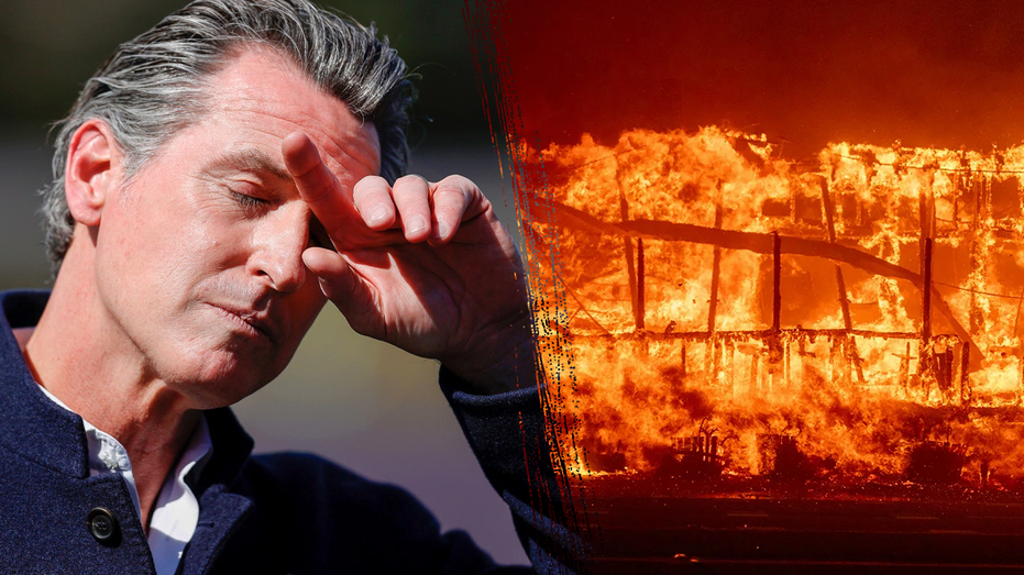 Gov. Newsom cut fire budget by $100M months before lethal California fires: report