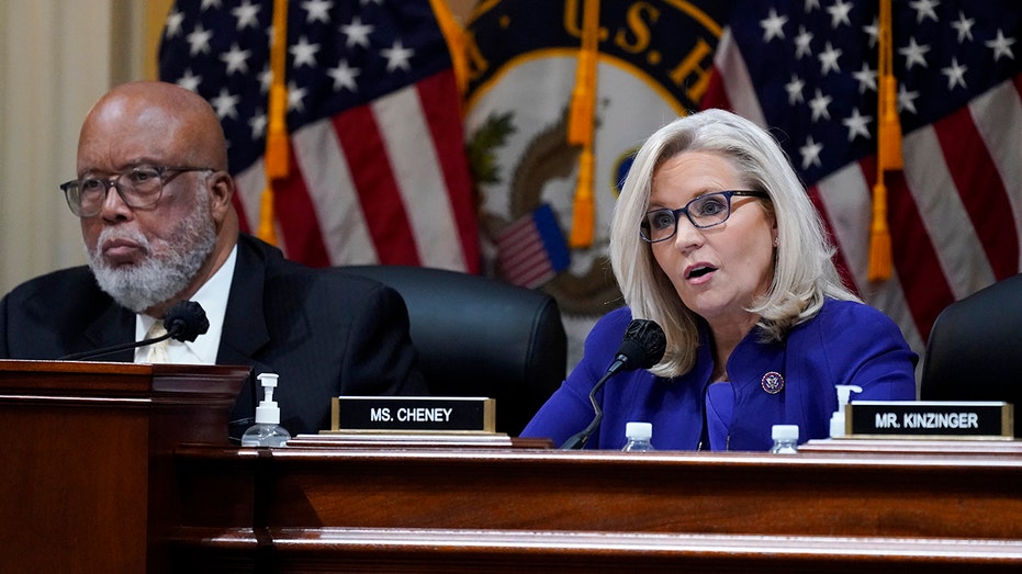 Biden awards Liz Cheney, Jan 6 committee chairman a medal: US 'is better because of their dedication'