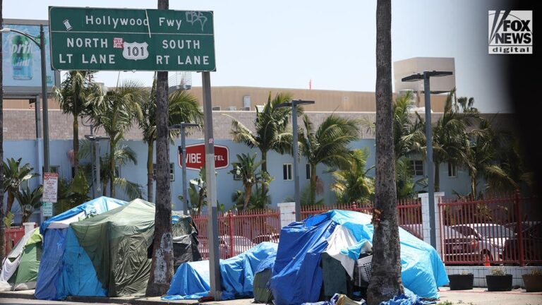 Blame Biden for homelessness skyrocketing