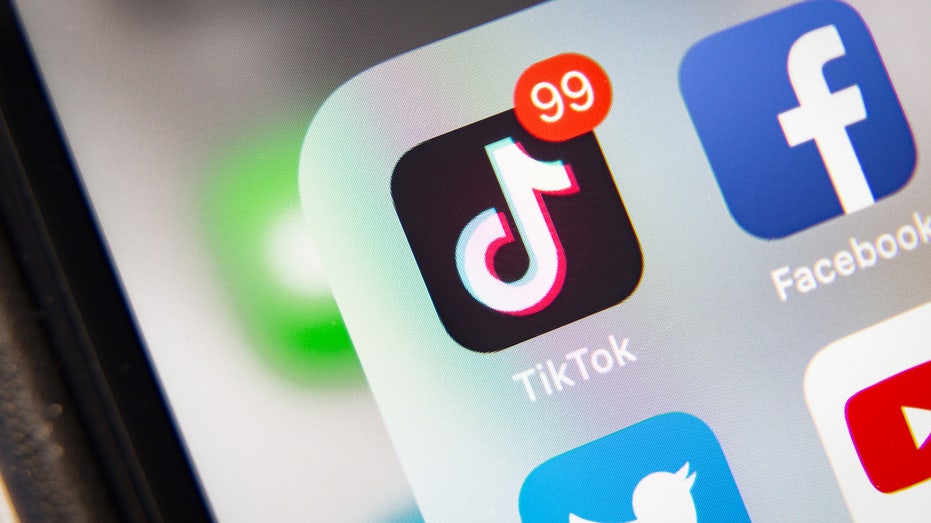 Privacy groups, experts, parents laud SCOTUS TikTok ban while others slam decision as ‘anti-democratic’