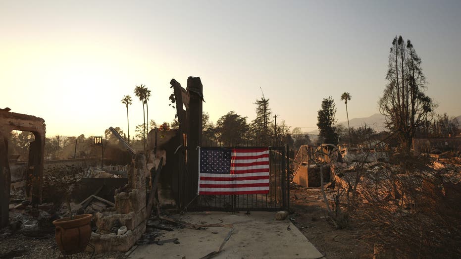 DAVID MARCUS: California could learn a lot from Florida when it comes to looters