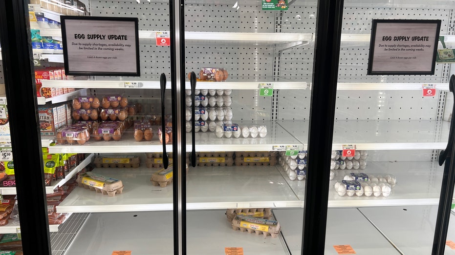 Egg supply 'strained' by bird flu as shortage frustrates Americans at grocery stores