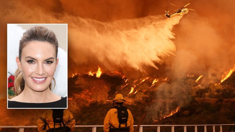 Hollywood actress calls LA Fires ‘a disaster,’ says not enough was done by elected officials