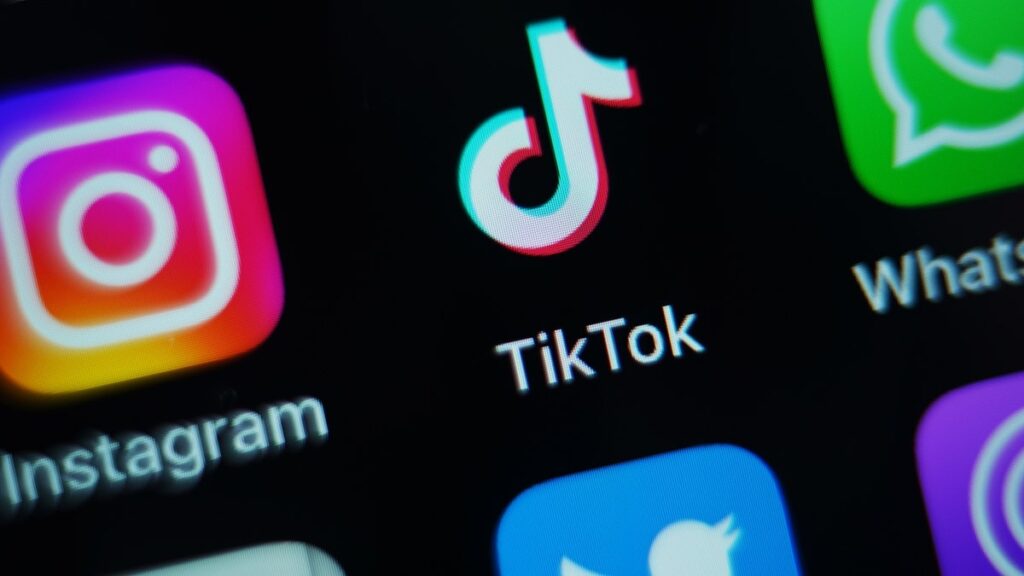 EVITA DUFFY-ALFONSO: Why my generation is ditching TikTok for another communist app