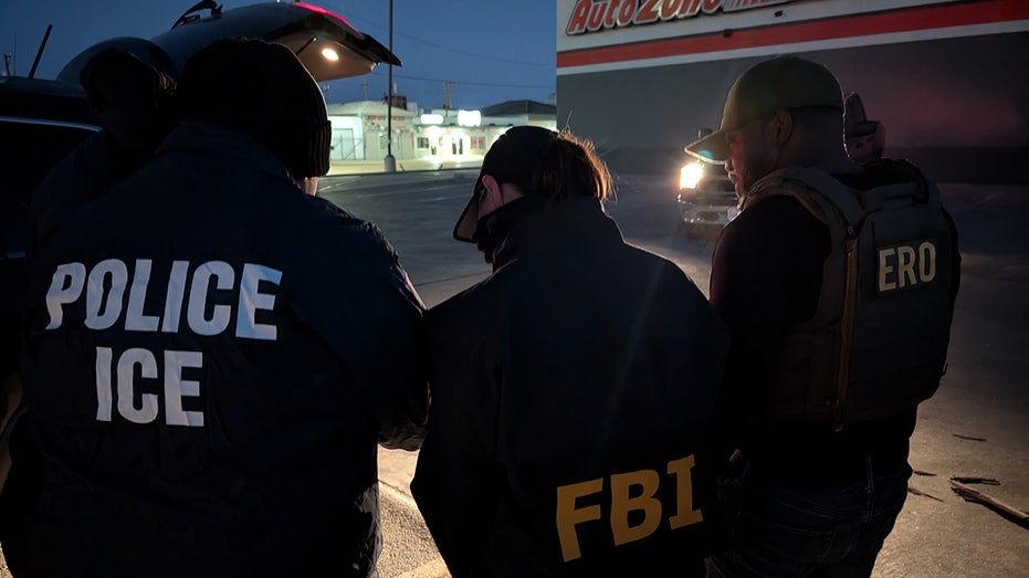 Illegals get more than they bargained for as FBI joins Trump DHS' criminal alien crackdown: photos