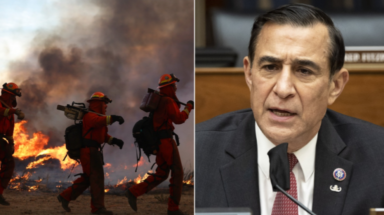 'We can’t wait': Issa fights back against 'green tape' regulations impacting firefighters