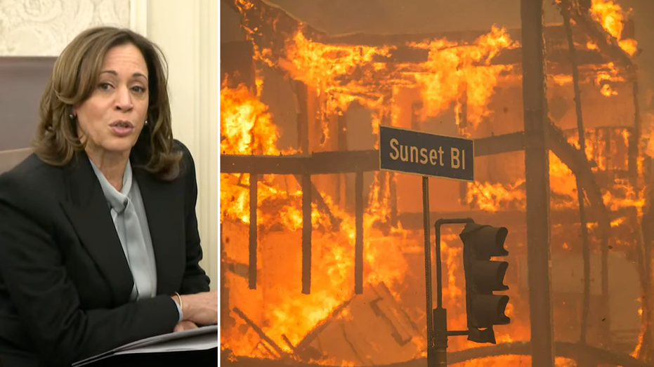 Harris mocked for 'confusing word salad' telling LA wildfire victims it's 'critically important' to be patient