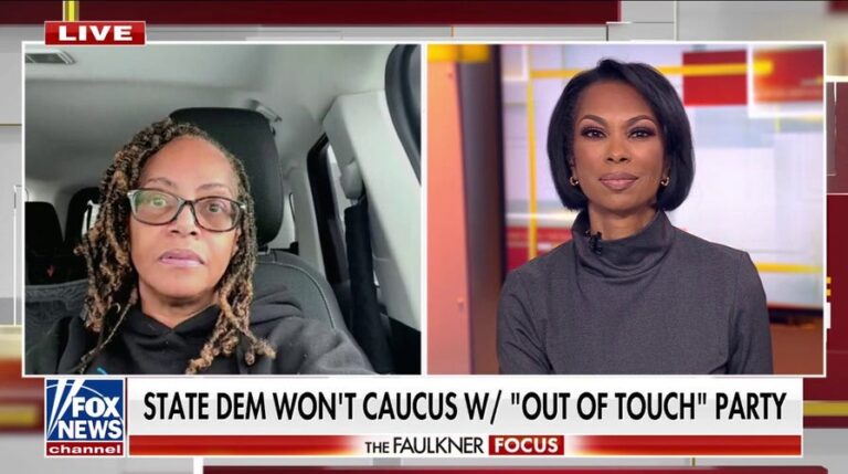 Michigan Democrat won't caucus with her 'disconnected party': 'Better off by myself'