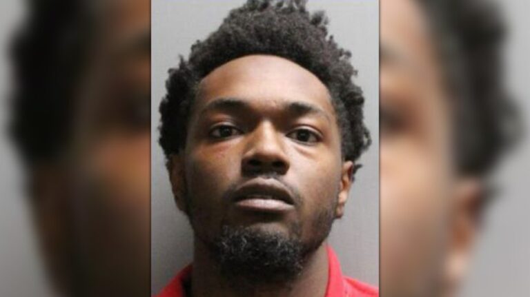 Florida man arrested for killing infant with car following argument with woman: police