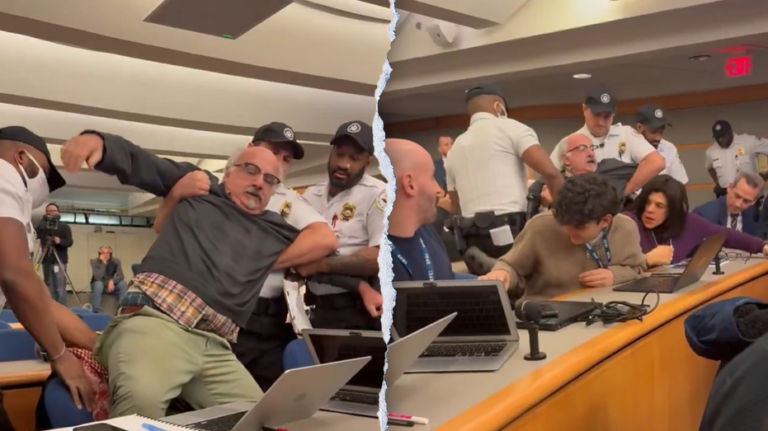 Writer, activist dragged out of Blinken's final press conference: 'you're hurting me!'