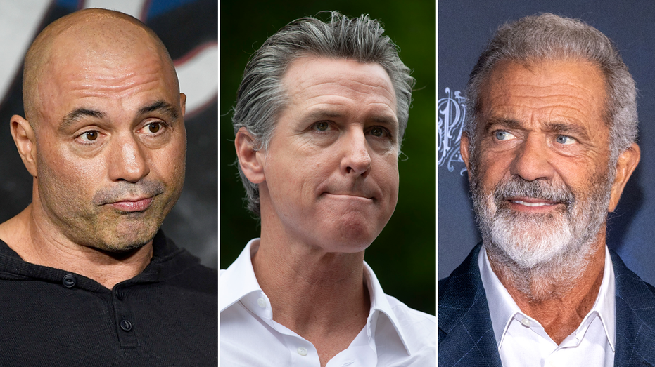 Joe Rogan, Mel Gibson blast Gov. Newsom amid wildfires: 'Personally ruined' California