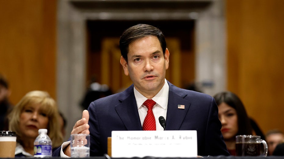 Top 5 moments from Rubio's Senate confirmation hearing: 'I get bilingual protesters'