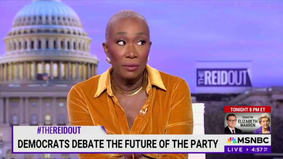 Joy Reid claims ‘billionaire right’ wants ‘apartheid’ state in post-wildfire California